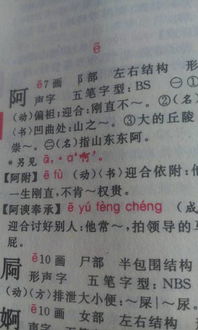 諷刺阿諛奉承的作文開頭