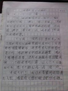 適合改變的作文開頭