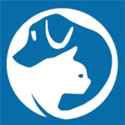 人類與野生動物作文開頭