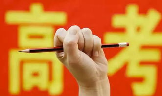  新高考改革何去何從(村治改革，組長何去何從)