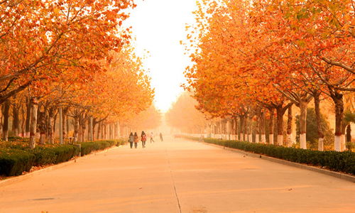 秋景作文優(yōu)美開(kāi)頭100字