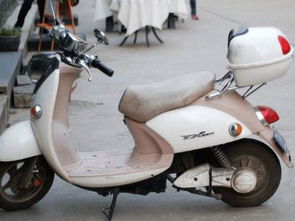 學(xué)騎電動(dòng)車作文開頭