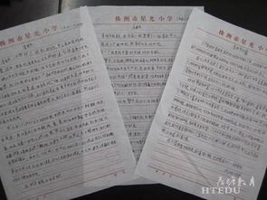 尋找自強(qiáng)不息的人物作文開頭