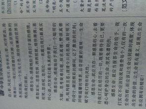 人要懂得感恩議論文1000字作文開頭