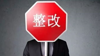 水泥企業(yè)自查報(bào)告(水泥企業(yè)節(jié)能自查報(bào)告)