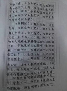 生活中最溫暖的事作文600字作文開(kāi)頭