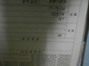 描寫啟示的作文開頭