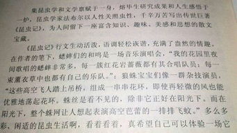 體驗為作文開頭