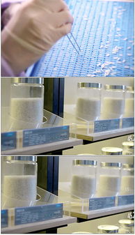 食品研發(fā)實(shí)結(jié)(公司研發(fā)部實(shí)結(jié))