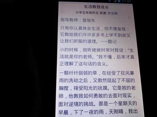 我的哥哥五百字作文開頭