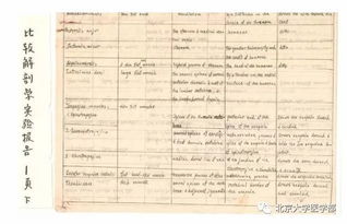 關(guān)于雞解剖實驗報告(關(guān)于雞解剖實驗報告)