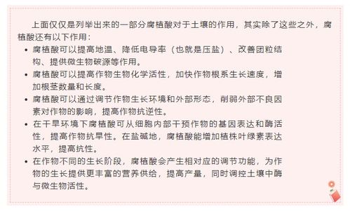 不再困惑作文開(kāi)頭