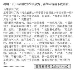 作文描寫足球賽開頭