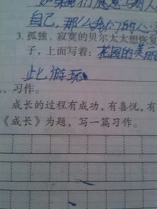 以咀嚼成長(zhǎng)作文開(kāi)頭結(jié)尾