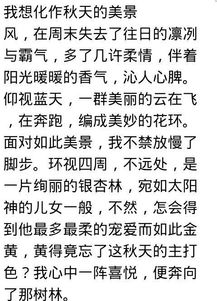 寫景的作文的精彩的開頭