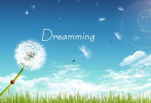 我的理想作文300字開頭