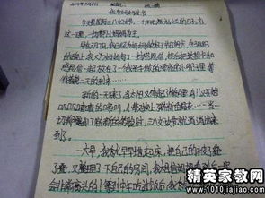 活動總結(jié)作文開頭