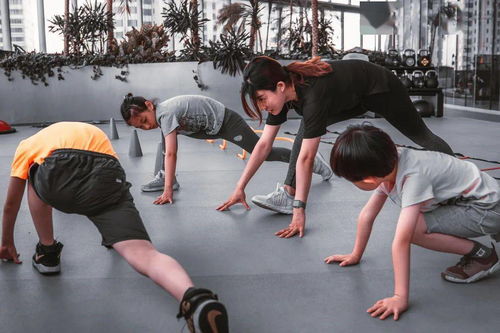 關(guān)于現(xiàn)實(shí)一點(diǎn)的作文開頭