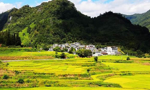 田園趣事作文400字開頭