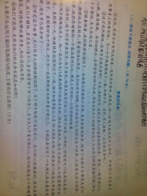 描寫桂花作文的開頭,寫桂花作文的開頭應(yīng)該怎么寫,寫桂花的作文開頭唯美