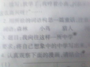 向往時(shí)間停止作文開(kāi)頭