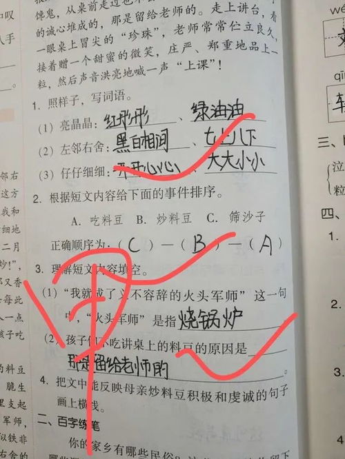 人生第一課關(guān)于老師作文開頭