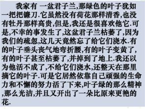 四下園地四作文開(kāi)頭