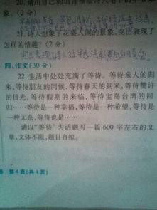 作文,開頭,馬虎