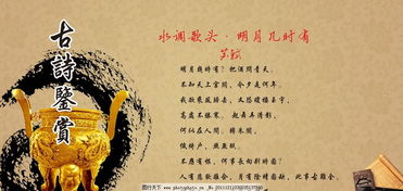 古詩(shī)句作文開頭句子賞析