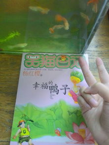 笑貓日記推薦好書作文開頭