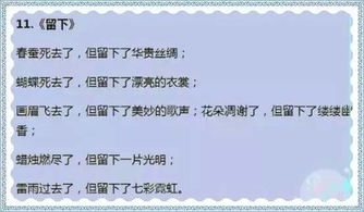 其實(shí)很棒作文開頭