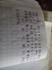 寫(xiě)有關(guān)誠(chéng)信的一件事作文開(kāi)頭結(jié)尾怎么寫(xiě)