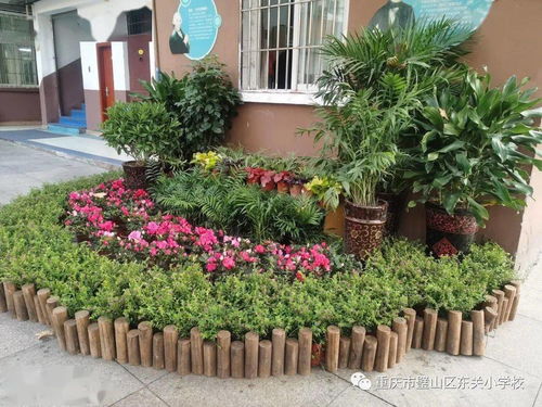 校園里的那一抹身影作文開頭