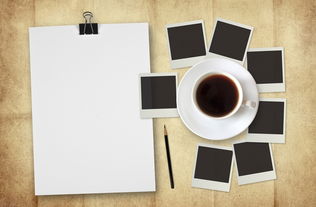 英語寫動物學(xué)校的作文開頭