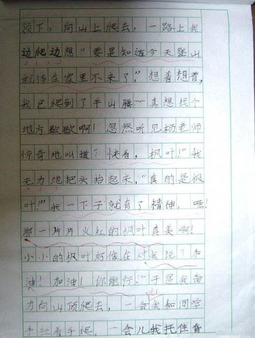 那一天我們?nèi)ヅ郎阶魑?00字作文開頭