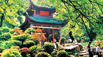 關(guān)于岳麓山的作文開頭