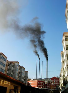 農(nóng)村環(huán)境污染的調(diào)查報告范文(農(nóng)村環(huán)境污染的調(diào)查報告)