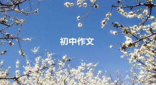 800用欲揚先抑寫人作文開頭