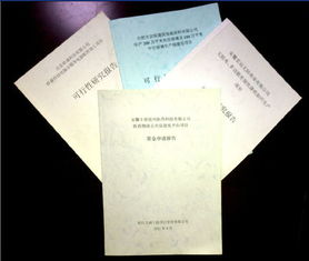 鄉(xiāng)鎮(zhèn)文化資金申請報告(鄉(xiāng)鎮(zhèn)文化資金申請報告)