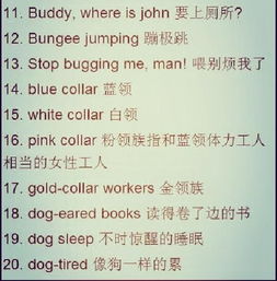 超酷的美國俚語作文(美國俚語的起源和功能論文)