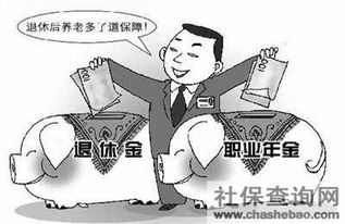 補充養(yǎng)老保險(補充養(yǎng)老保險)