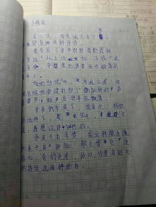 小學(xué)生寫父母愛的作文開頭和結(jié)尾