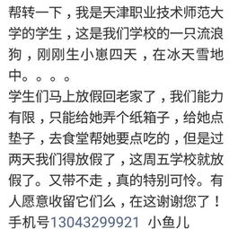 伸出溫暖的手初一作文開頭