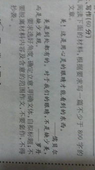 議論文,作文,之美,殘缺