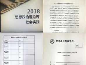 思政課教學(xué)實(shí)踐報(bào)告(思政實(shí)踐報(bào)告)