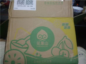 有你真的很幸運800字作文開頭