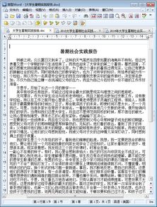 大學(xué)生實(shí)踐報告字(暑假大學(xué)生實(shí)踐報告)