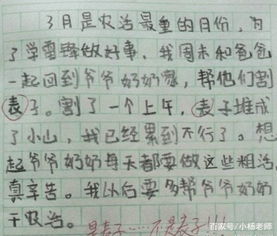 那次我笑了寫一篇作文開頭