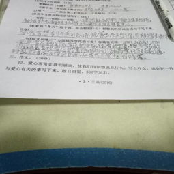 幫助別人的作文的好開頭