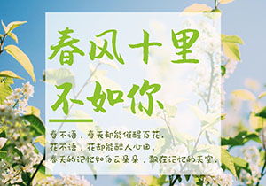 十里春風(fēng)不如你作文開頭結(jié)尾